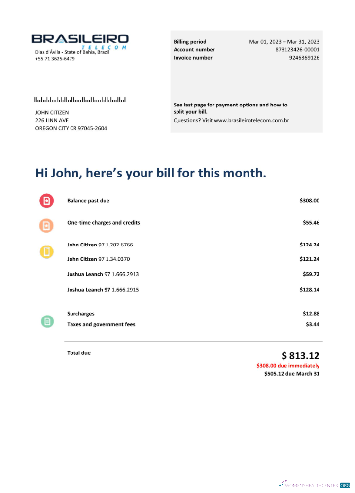 download download Brazil Braziliero Telecom telecommunication bill Word and PDF template PDF template PDF template